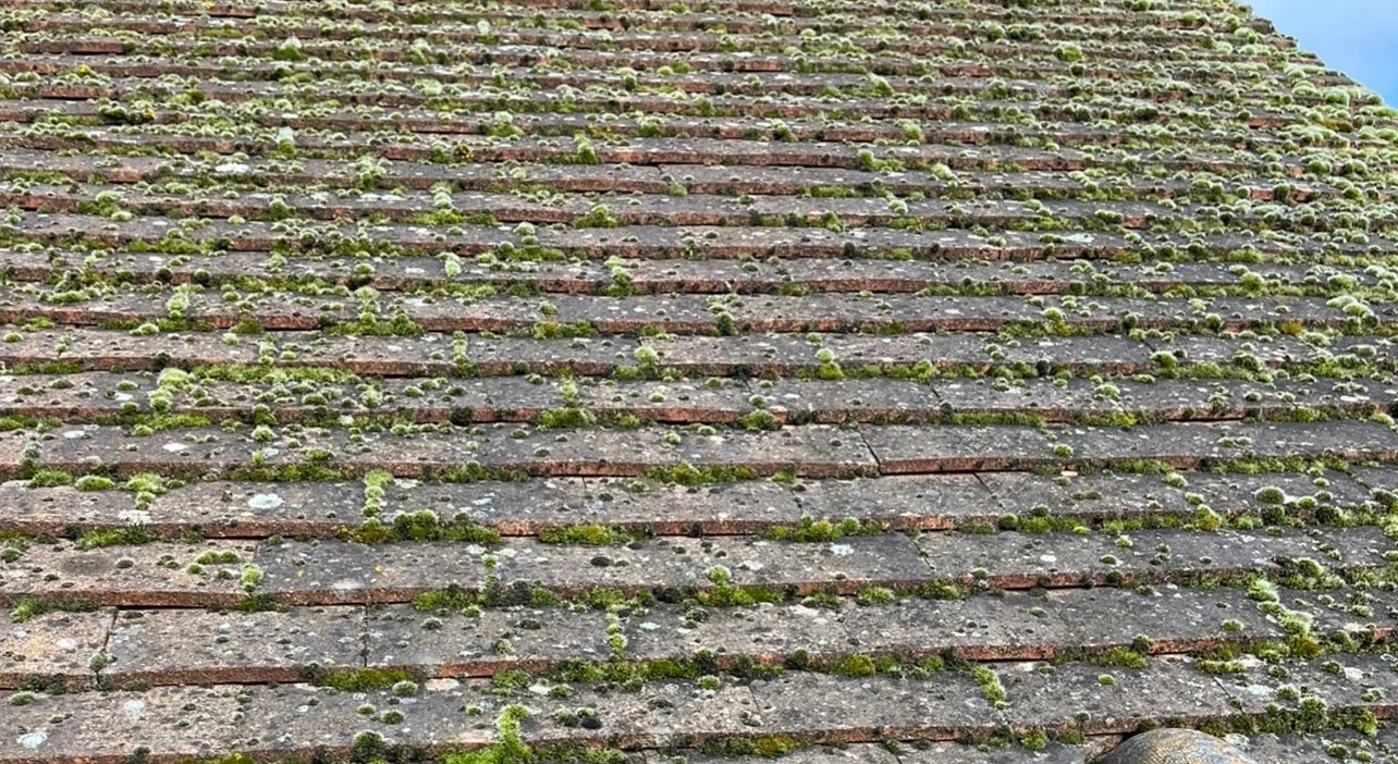 traitement de toiture à Bréval avant travaux